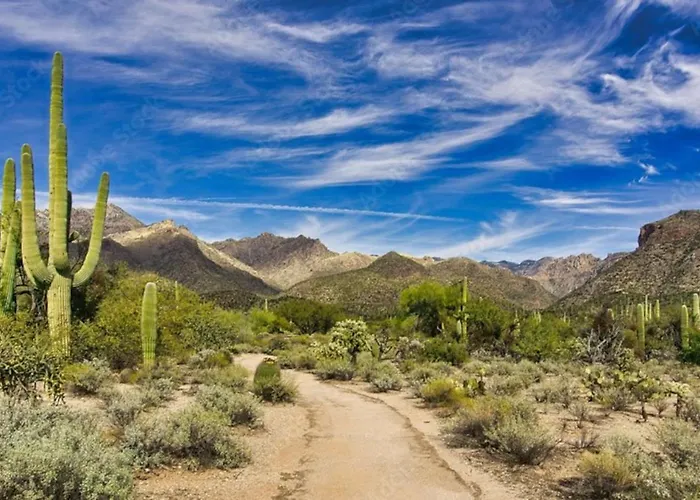 Holiday home Backyard Oasis, Big 360-degree Views, 3 Bedroom 2 Ba